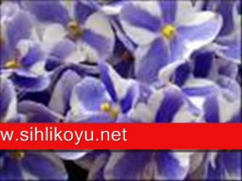 sihlikoyu.net fatih çelik