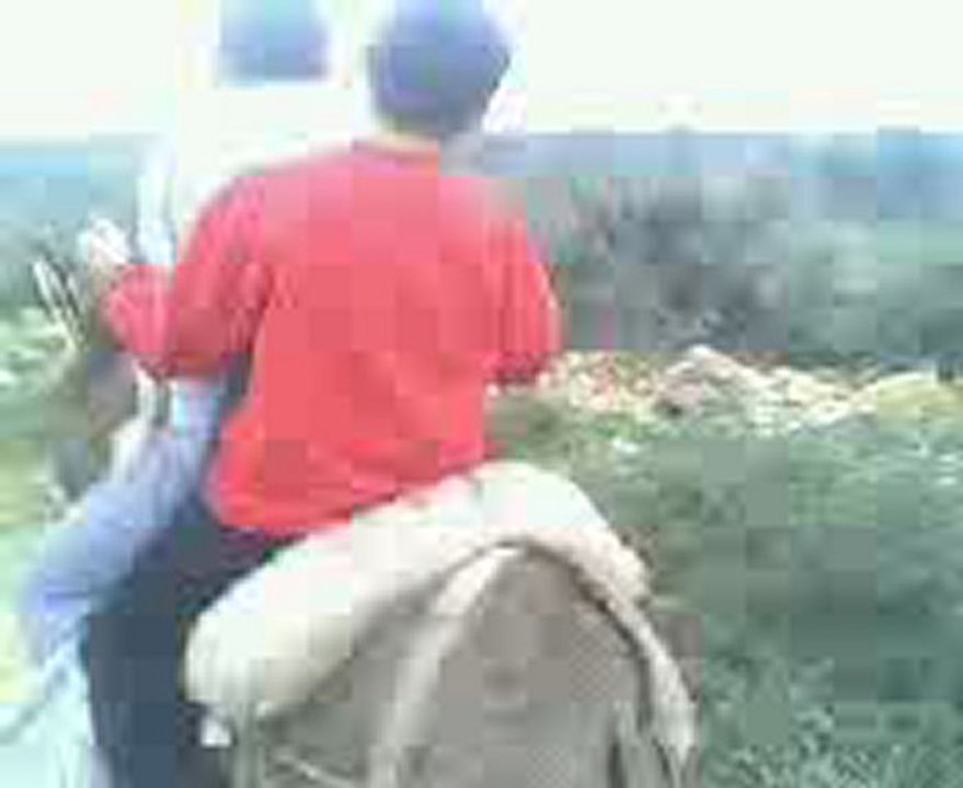 My brothers...