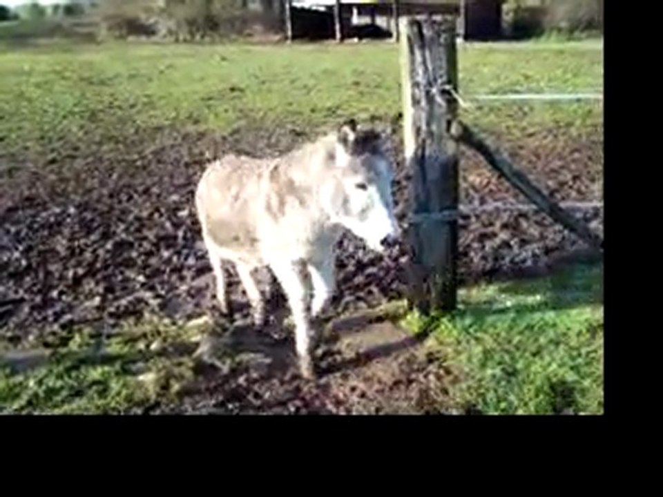 à l'heeeeeerbe !!