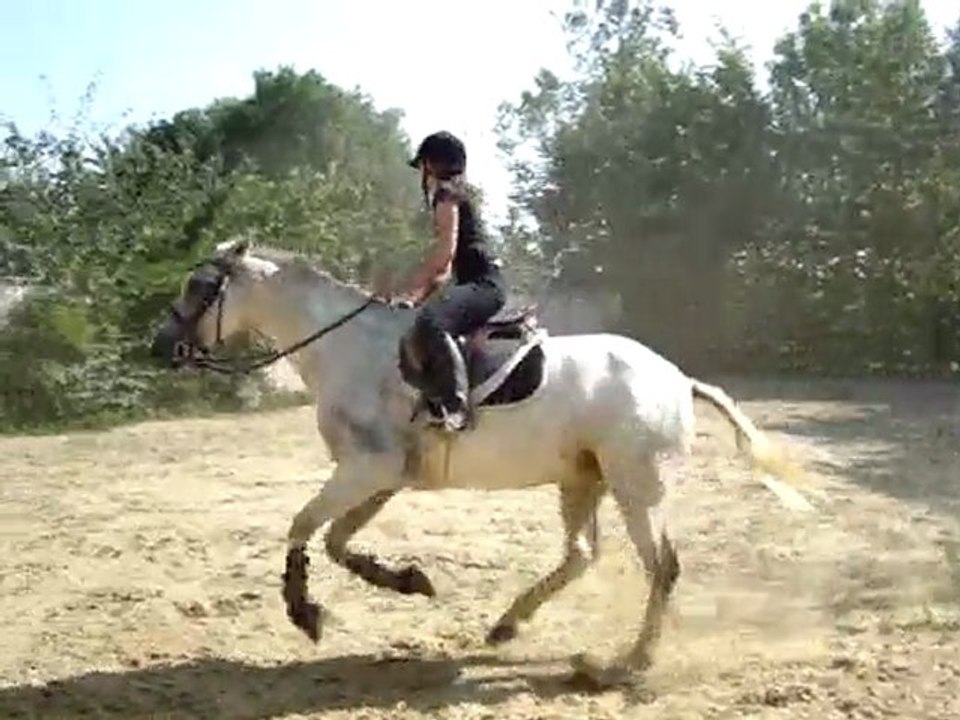 Apache et moi a l obstacle