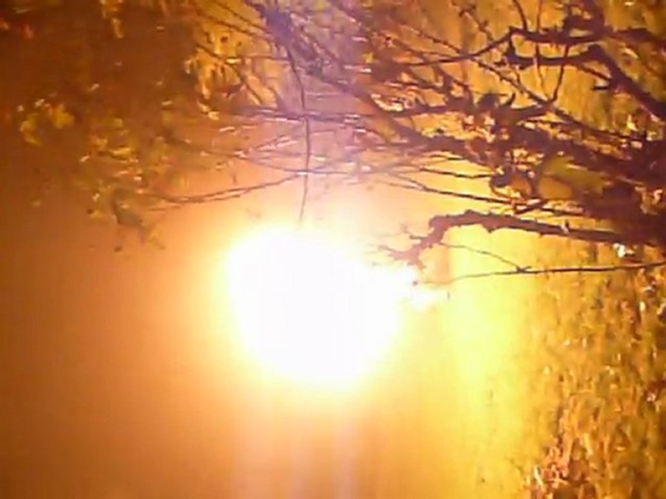 "Nouvel An 2009-2010"