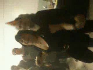 jour de l'an 2010 045