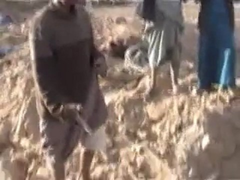 52 Alqaeda Killed Yemen by US plane 47are w,children12/ 2009