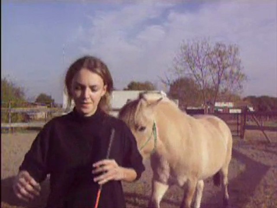 Bilan 2009, Prince