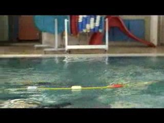 Développé couché plus 50 brasse ( Nicolas )