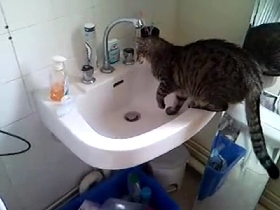 UNE PETITE SOIF?