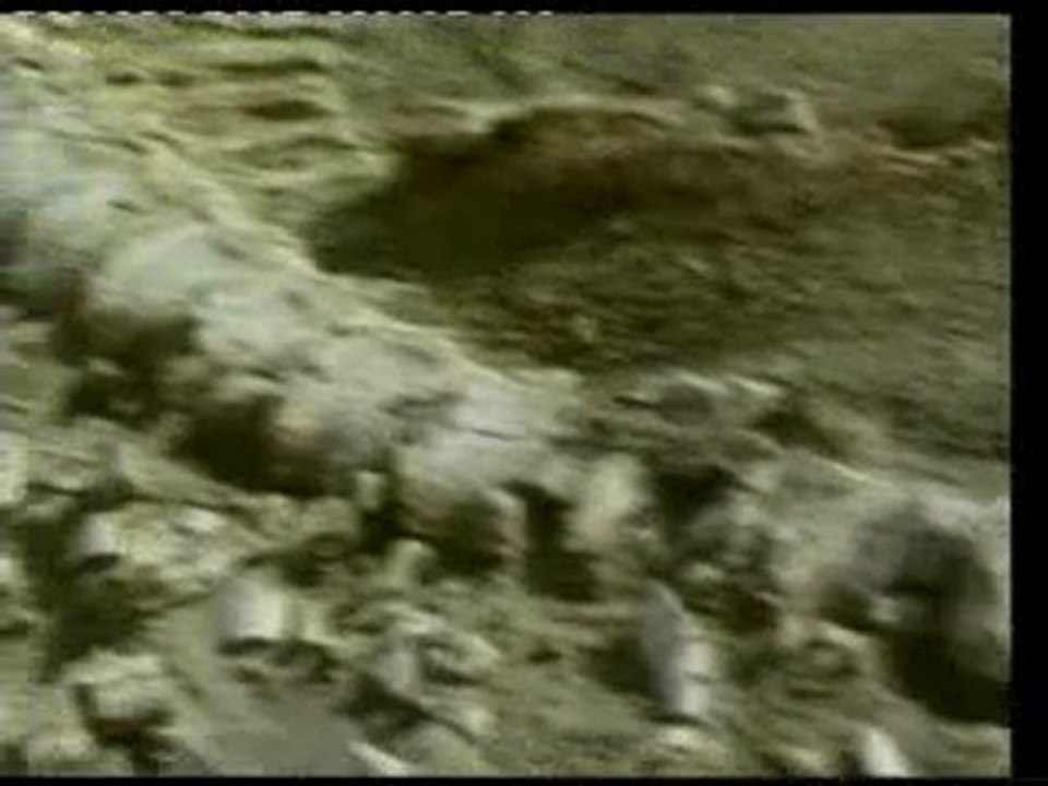 LA CHUTE DU DARWINISME ET LA CREATION N°3 -( 2)