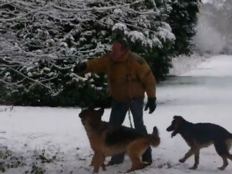 Neige 2 Janvier 2010 avec nos belles