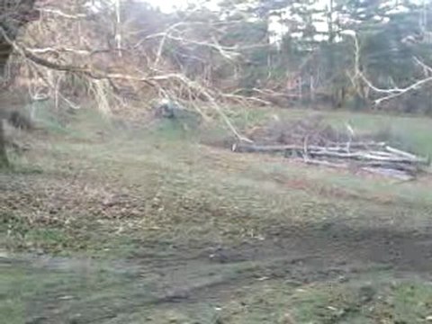 essais kart cross 602 le 31/12/2009