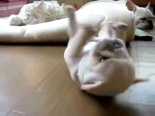 Bir Sağa Bir Solaaa Ha Gayret Az Kaldı ..:)