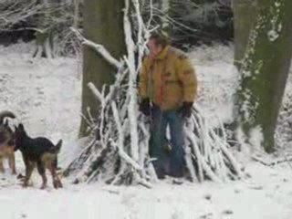 CRICRI ET SA CABANE ET SES LOUVES