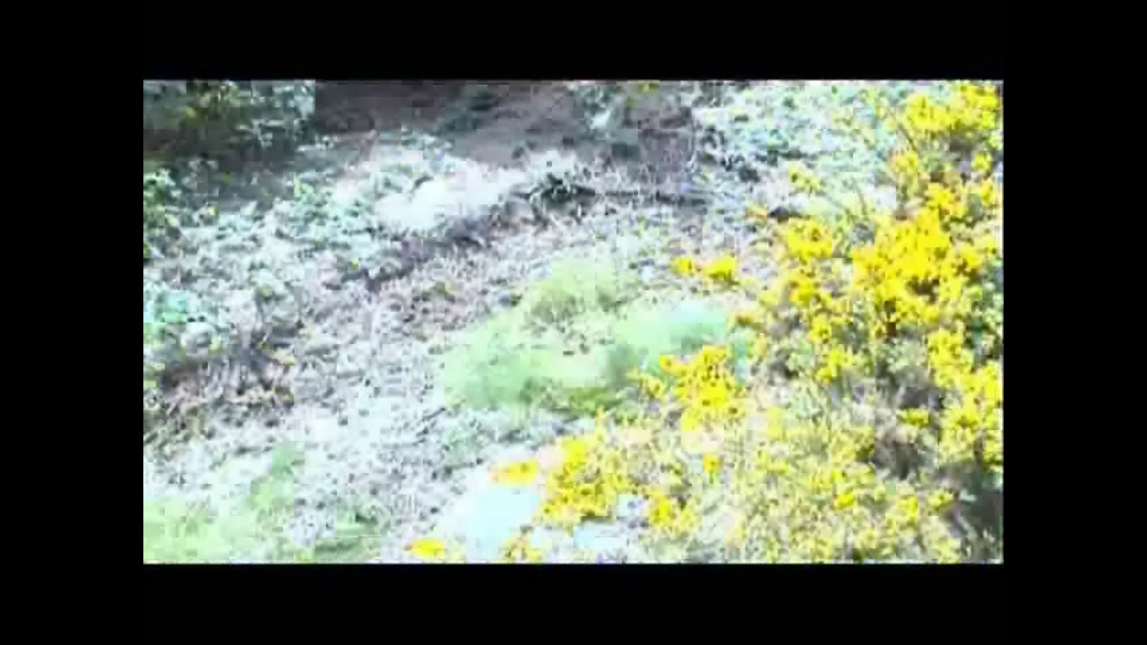 Détour sur les sentiers de Bretagne.Payaow Production.2009