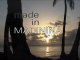 Made in Madinina 1/5 Le mouvement Reggae Dancehall