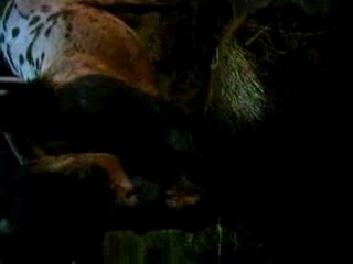 Tornado sur la botte de foin