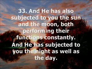 Surah  Ibrahim (Abraham) Verses 23-45