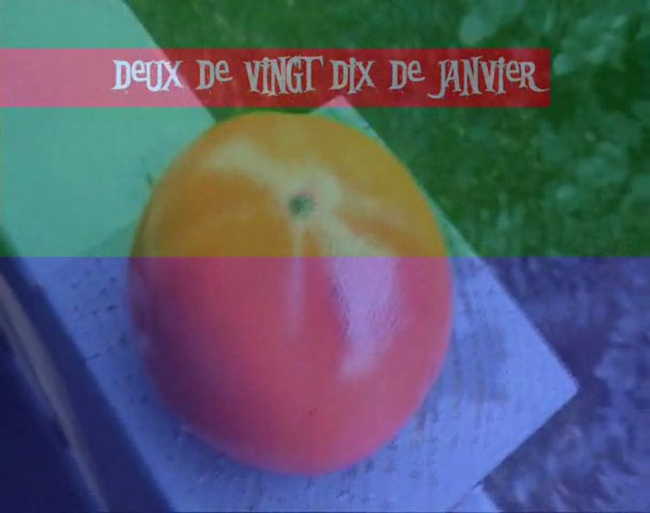 DEUX DE VINGT DIX DE JANVIER