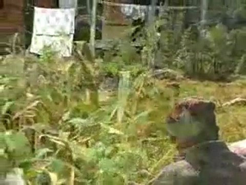 Ceyhun şişmanoğlu - Hemşin