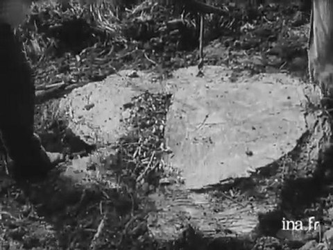 Utilisation des explosifs en agriculture