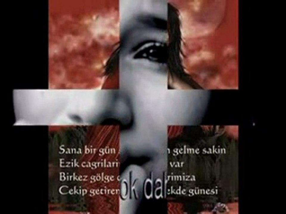 BuLuTNET