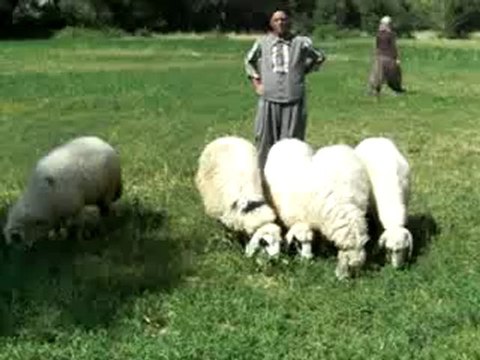 BAŞKAYNAK KÖYÜ- KEYDAN KÖYÜ - HASAN KAZAN