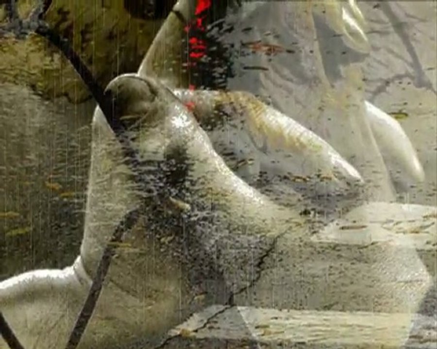 Czy mnie jeszcze pamiętasz...?