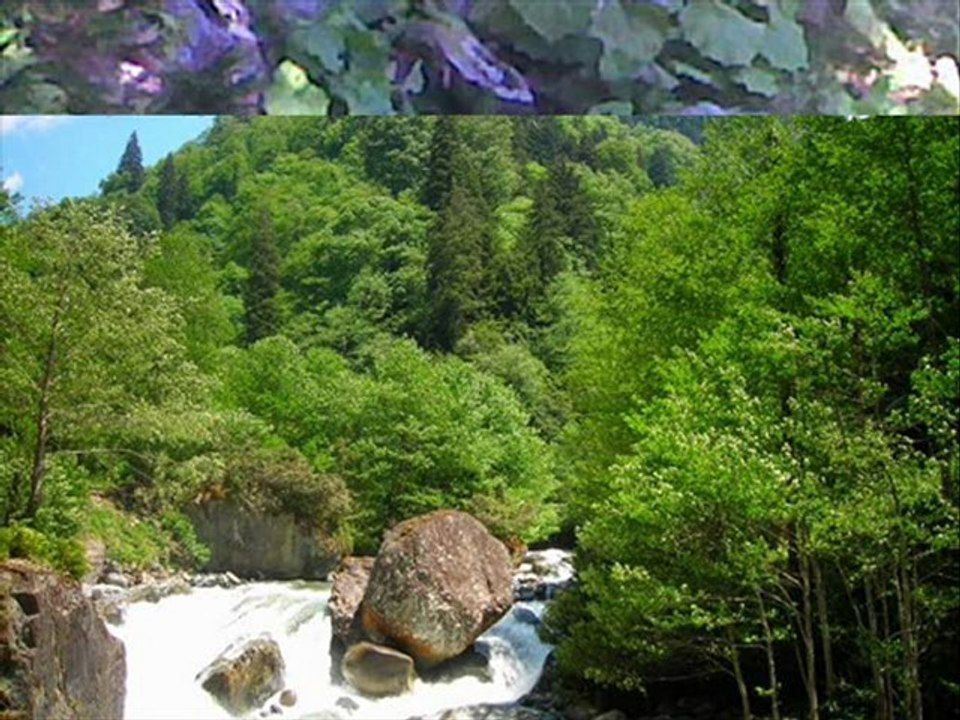 ç.hemşin ve yaylaları-bakoz horanı-kavrun.tr.gg