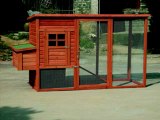 Chicken House Plans For Comfortable Chicken Coops