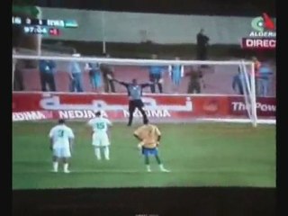 Algeria supporter from Cambridge uk