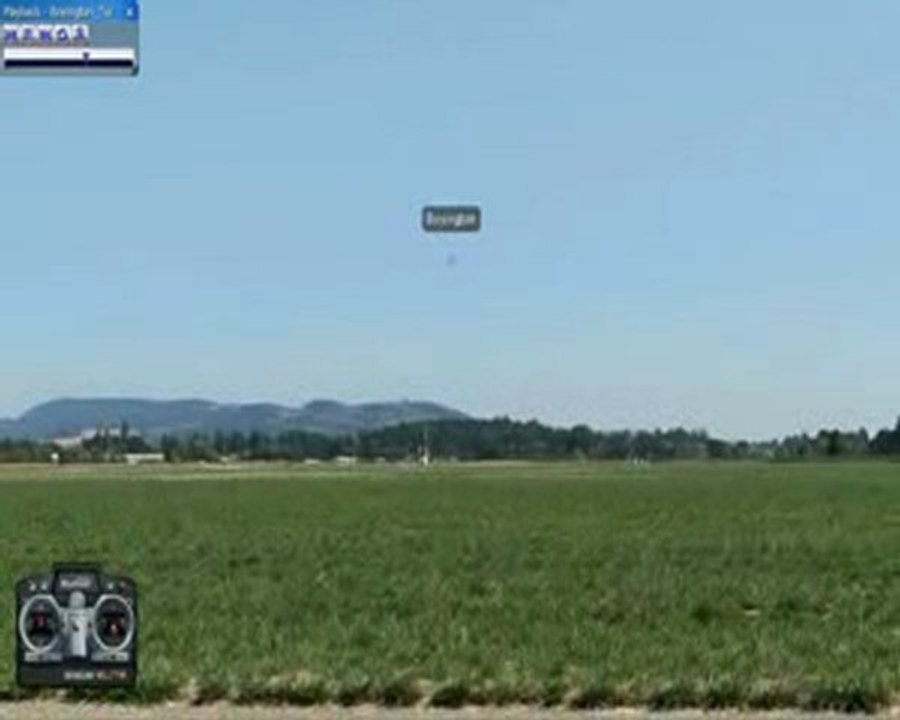 Flips longitudinaux