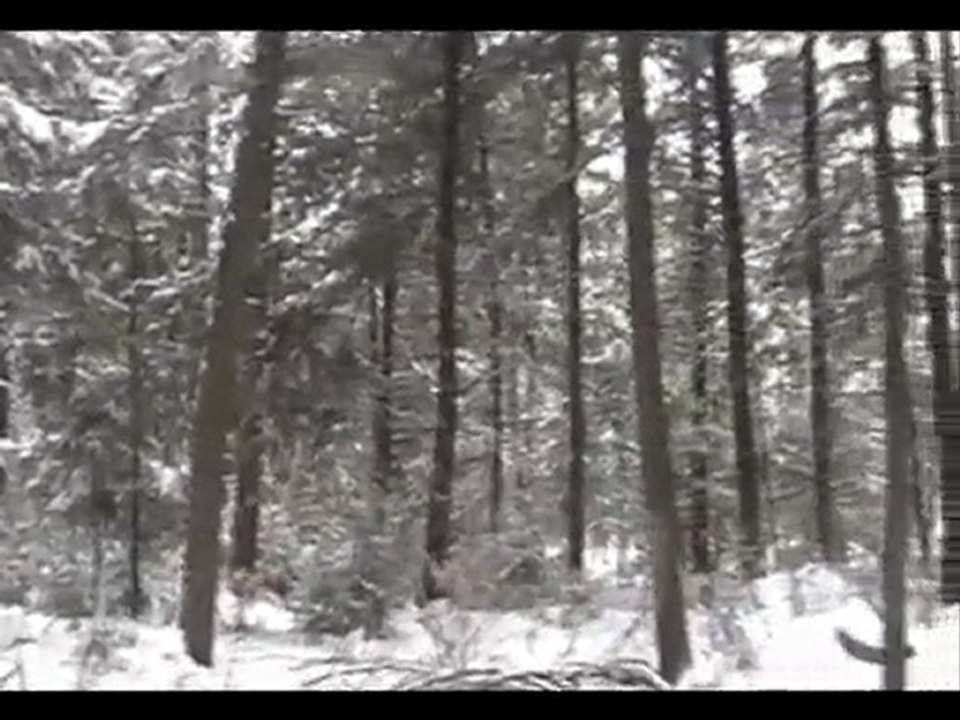 premiere vidéo de 2010