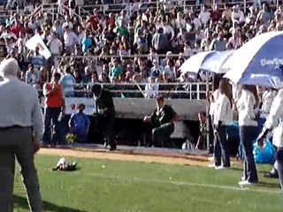 Pumas Sudafrica