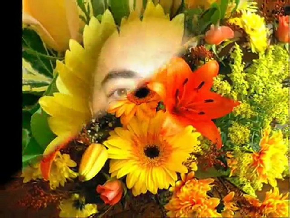 joyeux anniversaire