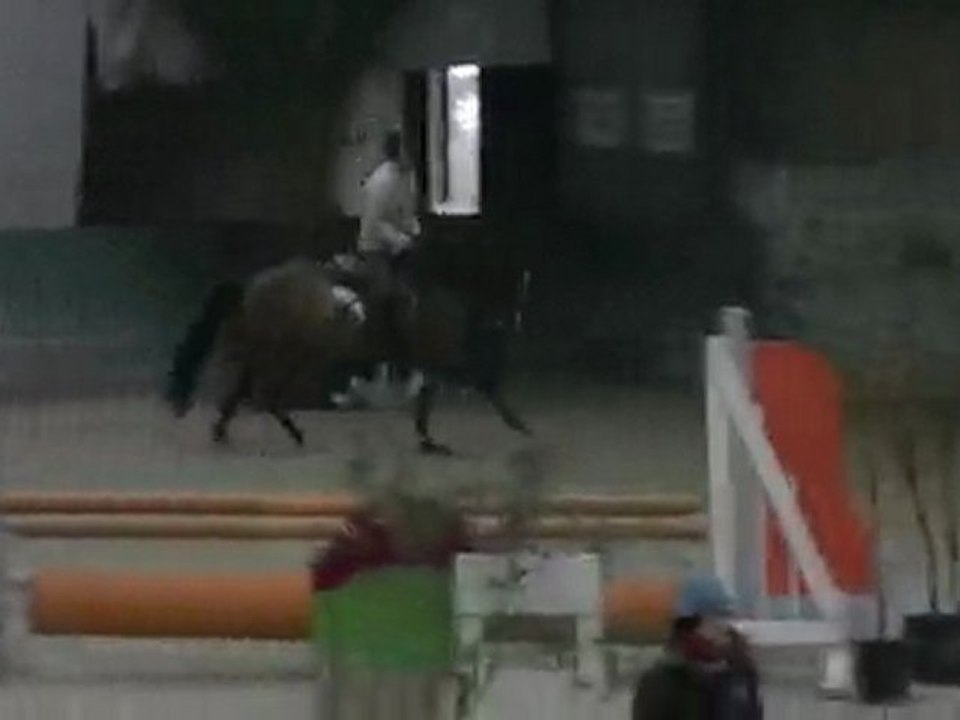 Quidao Louwenn - PFS - 5 ans (Galop)