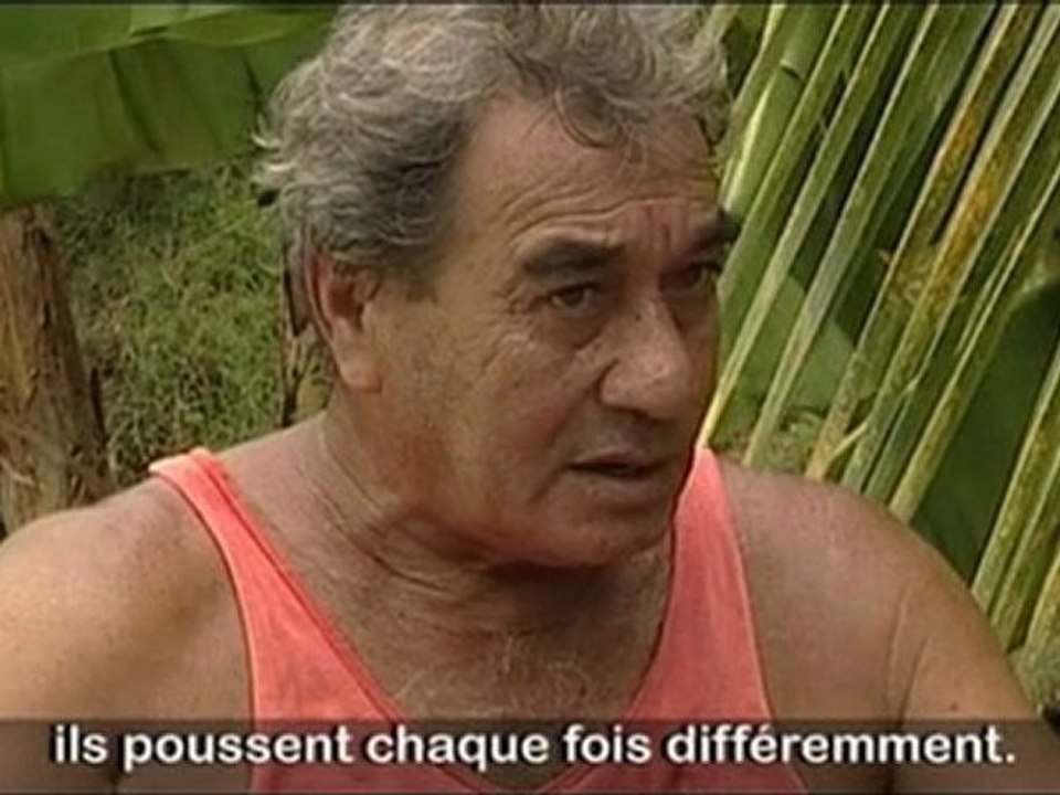 Les habitants de Polynésie française sont sur Tahiti.tv