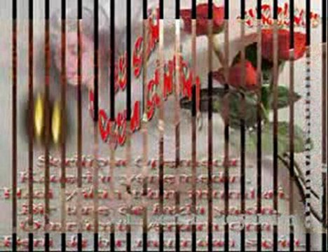 BuLuTNET...Arif susam-sevdan yere batsin