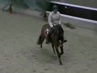 Quidao Louwenn - PFS - 5 ans (Trot)