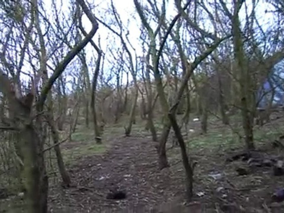 Lumières le 1er janvier 2010 chez les Afghans Hazaras