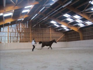 Joy et Jalna le 30.12.09