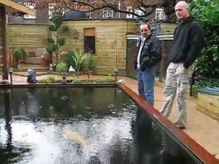 deny&monique  KOI        vijver