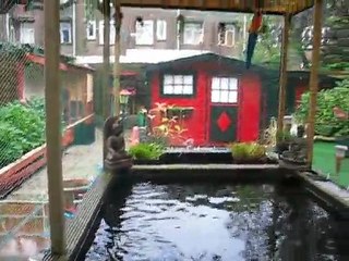 nico&carla  KOI   vijver