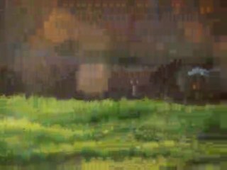 100_9776.MOV