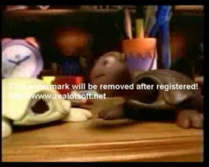 Propaganda antiga das Tortuguitas