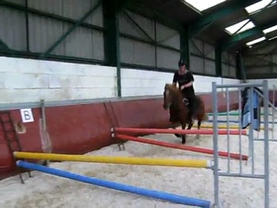 mise en selle obstacle bapaat