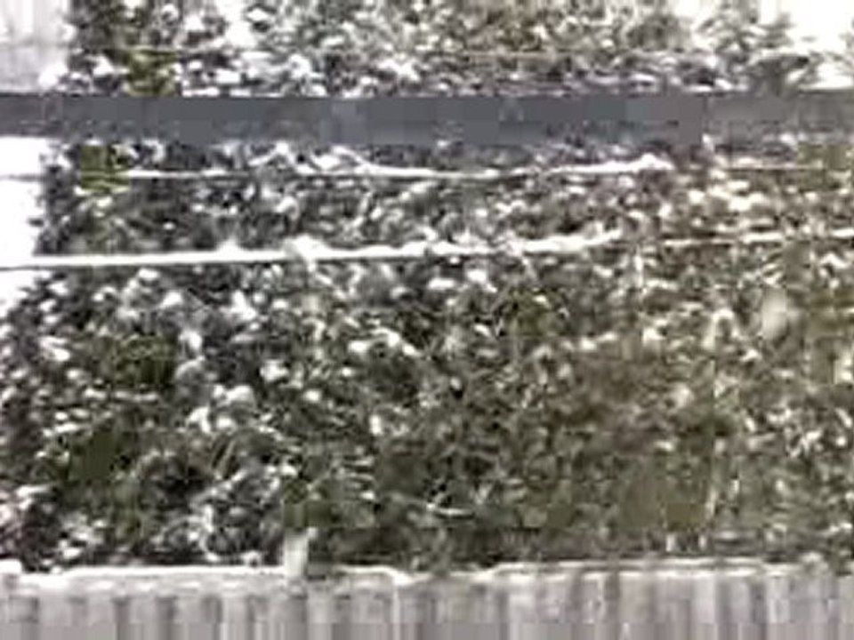 Tempête de gros flocons