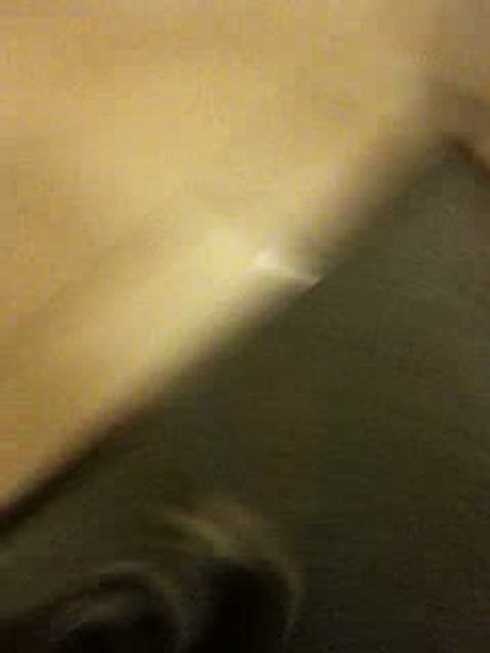 Clochette et le coton tige #2