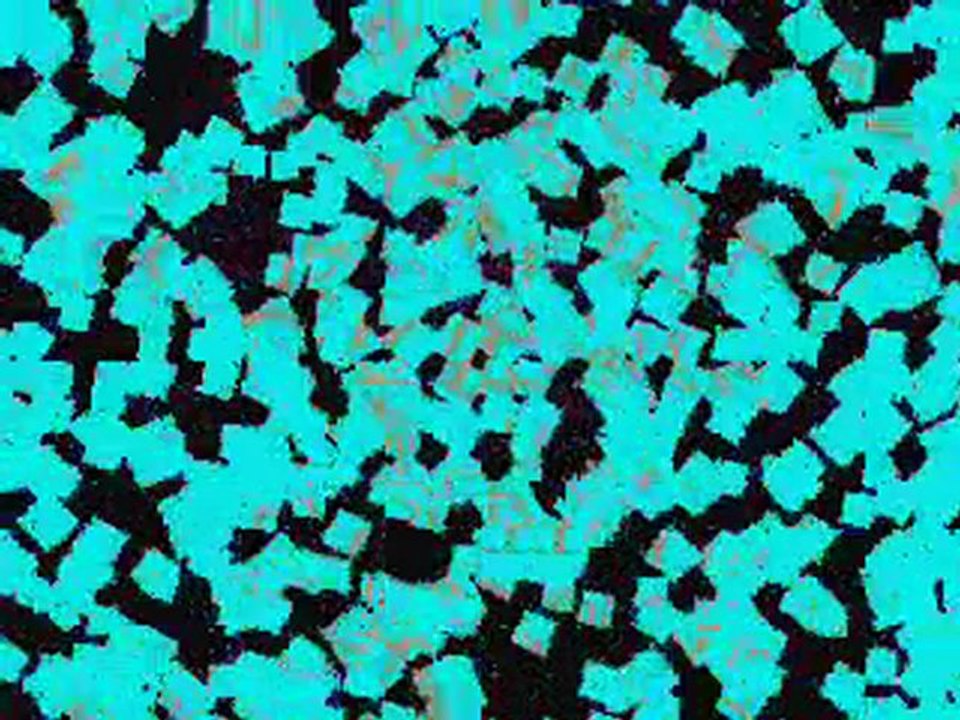 DANCE FLOOR INDIA TOUR2008 MIXED BY DEELAW &  DJ WALEED