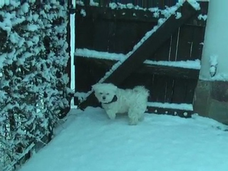 Valen dans la neige le 03 Janvier 2010