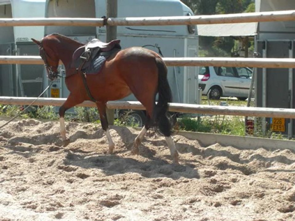 Starlette2009