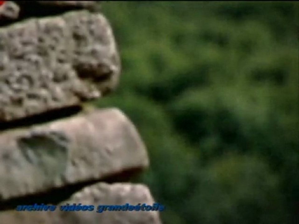 2x4 les premiers celtes