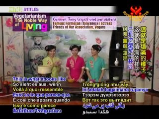 Chinese Afternoon Tea Snacks:Sweet Soups and Tri-Color Cake